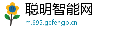 聪明智能网